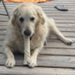 Meet your Posher, Aiden